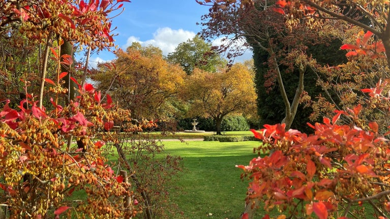 Charlotte's Garden in the Autumn, Tatton Park, Cheshire
